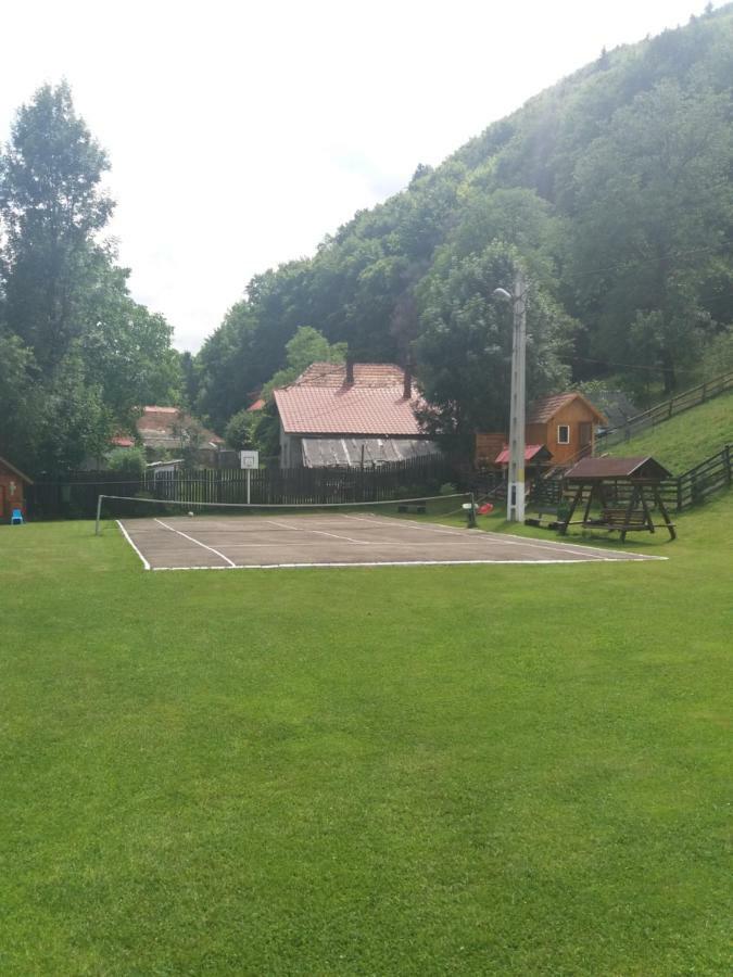 Pensiunea Vladut 브란 외부 사진