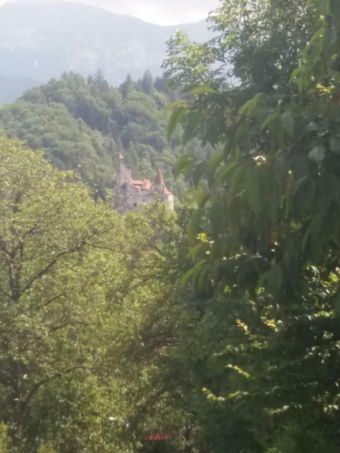Pensiunea Vladut 브란 외부 사진